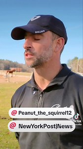Who squealed on Mark and Daniella Longo, mom and dad of Peanut the squirrel and Fred the raccoon? They believe people were jealous. Now, Peanut the squirrel wasn’t just on Instagram but also on dad Mark Longo’s OnlyFans page. According to the New York Post, Peanut helped steer followers to their page. Longo believes that could very well be the reason why D-E-C raided Peanut's Freedom Farm. The Longos bought their house with the 350 acres for $800,000, they told the Post. That’s how much they mad