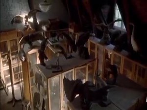 3.1M views · 22K reactions | teacher studant | Hot video chanal | Facebook