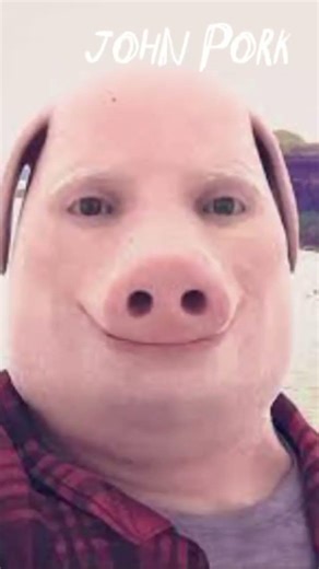 John pork #edit #brainrot #funny #johnporkmeme #timcheese #fantasy