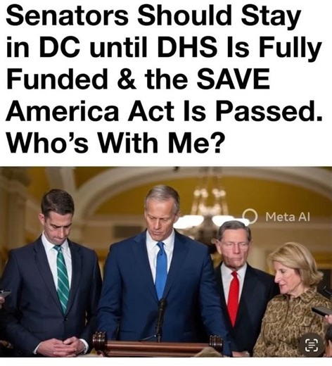 Fund DHS & Secure Elections Now! 🇺🇸 #HomelandSecurity #SAVEAct #ElectionIntegrity #ice