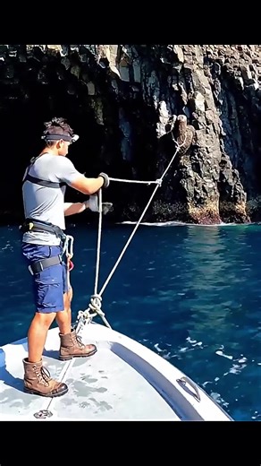 #building #asmr #camping #bushcraft #survival | asmr