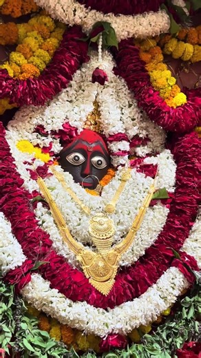 माँ शीतला महारानी 🌺❤️🙏🏻. #bhakti #jaimatadi #shortsindia #hindugod #viral