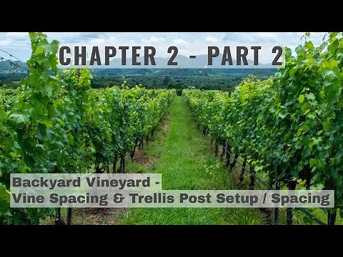 Chapter 2 - Part 2 - Backyard Vineyard Grape Vine & Row Spacing, End & Support Post Setup