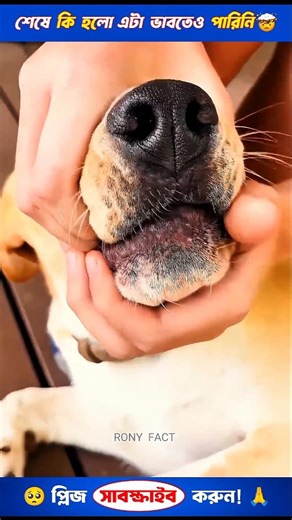 ~কুকুরের মুখে এটা কি~🤯😱 #shorts