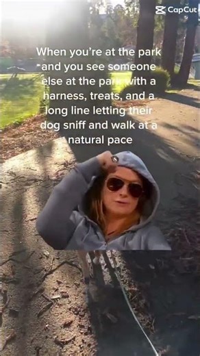 Anyone else feel their heart fill up with joy when they see a fellow long line + harness + treats