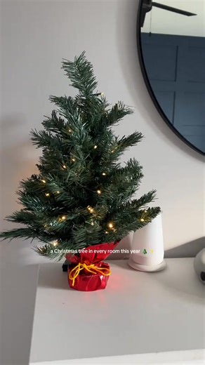 This Mini Pre-Lit Tabletop Christmas Tree brings all the sparkle, warmth, and joy of a full-sized tree. Perfect for apartments, offices, dorms, or cozy corners — it’s the easiest way to make any space feel merry and bright. | Usshoper | Facebook