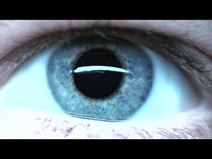 Prédestination (2014) ⭐ 7.4 | Action, Drame, Science-fiction