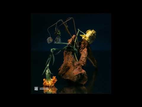 Oscar Mulero & Luigi Tozzi - Seven【The Third Room】