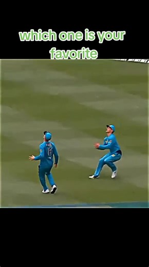 Best Cricket Catch Collisions to Watch