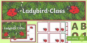 Ladybird Class Resource Pack