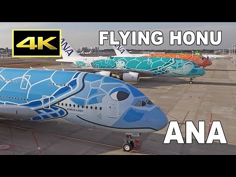[4K] ANA Airbus A380 "FLYING HONU" x 3 - take off, landing, close up, cabin, cockpit / 成田空港 下地島空港