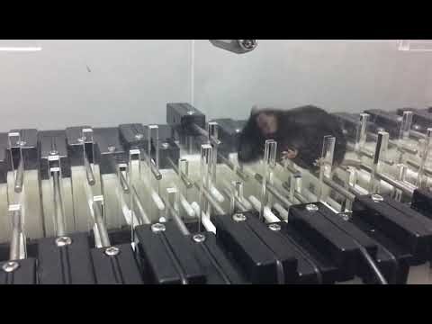 LadderScan Test Running In Action