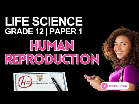 Life Science | Grade 12 Paper 1 Exam Revision | Human Reproduction (NSC/CAPS)