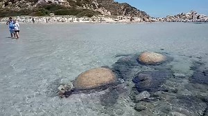 259K views · 26K reactions | Oggi Villasimius :) | Sardinia Coast to Coast | Facebook