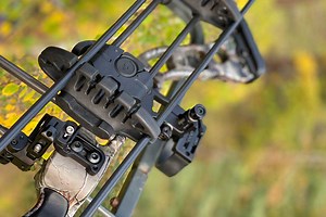Thin vs. Thick Arrows: What's the Difference in Bowhunting?