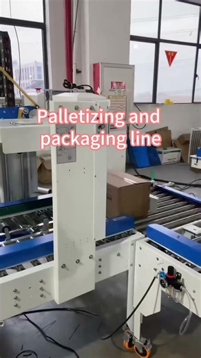 Automatic Palletizing Packaging Line | Robotic End-of-Line Packaging Solution