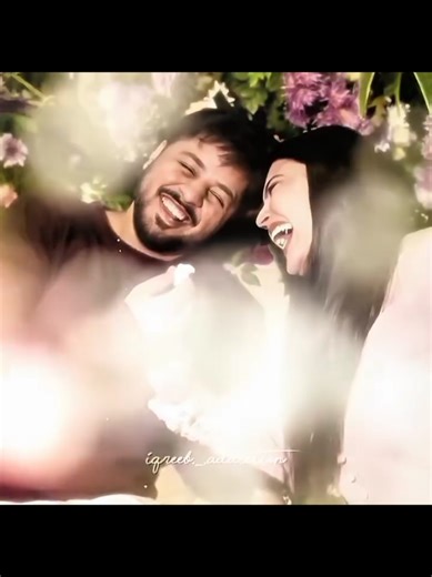 Exploring the Green Forest: Nature's Serenity