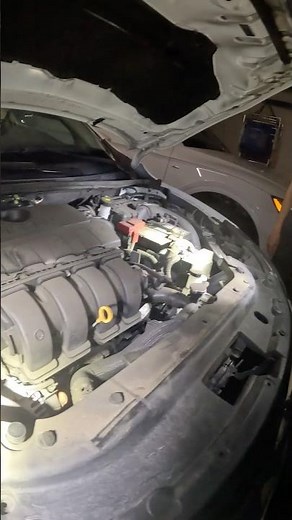 GUARANTEED way to get Rats out of your car FAST! — Teaser — Twin Home Excepts