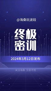 海桑派第25期终极密训营圆满结束！4月见~