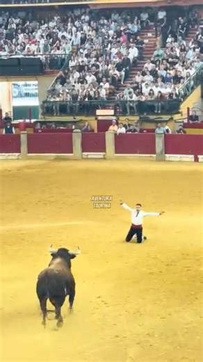 De Rodillas El Peta Al Toro Bravo ¡De Infarto! #shorts