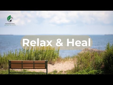 Sound of Peace: Relax & Heal with Calming Music | 30 Minutes 🌿