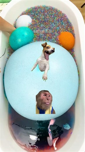 “Monkey vs Dog — Who will win first?” #asmr #satisfying #shortvideo