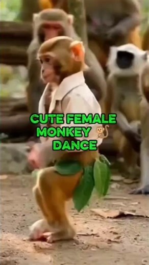 Cute Female Baby Monkey Dance | Realistic Jungle Style
