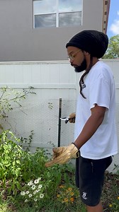 1.1K reactions · 52 shares | If you have a goal to grow food, my book will help. If you’d like to grab a copy, our website link is on the top of this homepage underneath the profile picture. Use coupon code SOCIAL25 for an additional discount. Prayers  Blessings  | GoNaturalite | Facebook