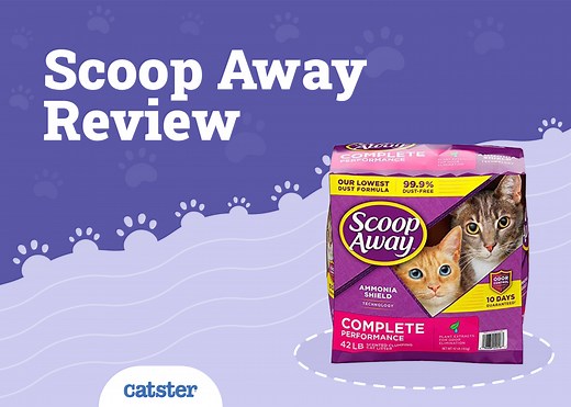Scoop Away Cat Litter Review of 2026: Recalls, Pros & Cons - Catster