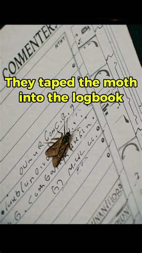 Why We Call It a “Bug” in Computers