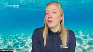 視撚 WEEKLY TOPIC UPDATE 撚視 Hope everyone has a happy week, here is...