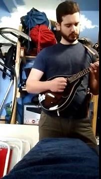 Mandolin with distortion