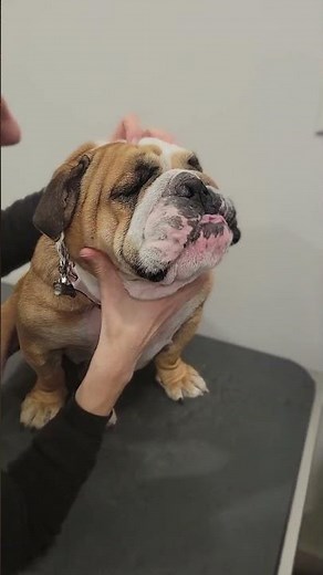 Fluorescein stain demonstration