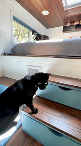 1.9K views · 29 reactions |  Meet Michelle & Sandra, early...