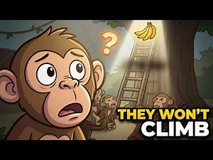 One Monkey's Punishment Stops Them All