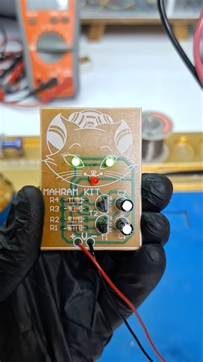 Blinking Cat Circuit! 😺✨ | DIY Mini Electronics Kit