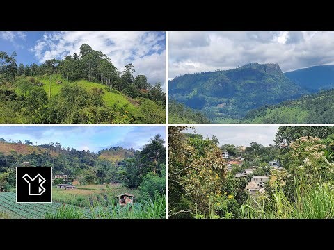 Hill Country of Sri Lanka - Calm Vistas Across Rolling Highlands
