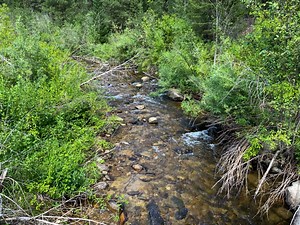48.993 Acres For Sale Near Idaho City, ID | Wilks Ranch Brokers