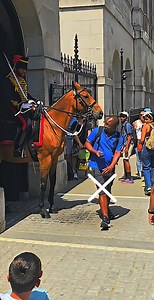 5.6M views · 10K reactions | Excellent Gunner on Duty at Horse Guards in London Yesterday #highlights #british #tradition #Gunners #kingsguard #kingstroop #horseguards #history #horseguardsparade #visitlondon | At Horse Guards | Facebook