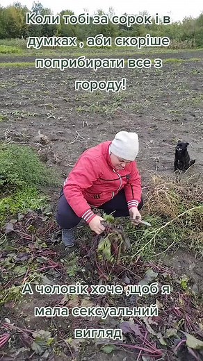 Exploring a Mysterious Dog Encounter in Nature
