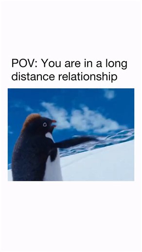 Zxab on Instagram: "He closed that distance real quick 📽️: Happy Feet Son of Memphis and Norma, little sweet penguin Mumble has a big problem: he can’t sing a single note. In a world where everyone needs a heart song to attract a soul mate, Mumble feels he doesn’t belong there. Our hero Mumble is the worst singer in the world, but he can tap dance brilliantly. 📺: HBO MAX, Apple TV, Amazon Prime Video #motivationalquotes #motivation #thoughts #motivational #shorts #advice #lifequotes #reels #ex