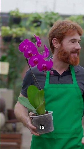 Best NYC Flower Delivery Services for Fresh Blooms at Your Doorstep