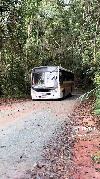 Bom Dia: Encontre Alegria e Inspiração