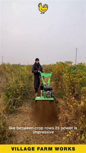 This compact tiller is a BEAST 💪 watch it tear through the soil #MiniTiller