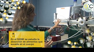 SIMGI el Simulador Gastrointestinal