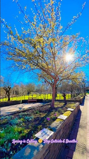 Spring Is Calling 🌞 Step Outside & Breathe.