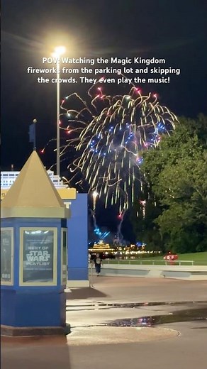 Disney Fireworks #magickingdom #disneyworld #fireworks #disney #castle #happilyeverafter #wow