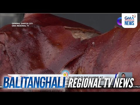 Regional TV News (November 19, 2025) | Videos | GMA News Online