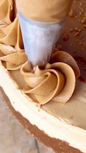 Biscoff No Bake Cheesecake🍰 For all my biscoff lovers this one is for you! It’s super easy to make and perfect for a sweet tooth craving. Biscoff Cheesecake Filling * 2, 8 oz packages of cream cheese, room temp * 1/4 cup granulated sugar * 14.1 oz, Biscoff cookie butter jar * 2 cup heavy cream, separated Biscoff Crust & Topping: * 2, 8.8 oz package biscoff cookies * 10 tbsp tbsp butter, 1 stick, melted * 14.1 oz, Biscoff cookie butter jar Instruction: * Line the bottom of a 8.5” spring form pan