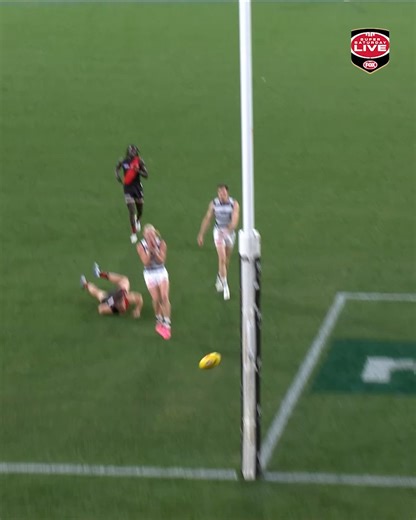 164K views · 628 reactions | Ollie Dempsey would like this moment back after MISSING from very close range  #AFLDonsCats | FOX Footy | Facebook